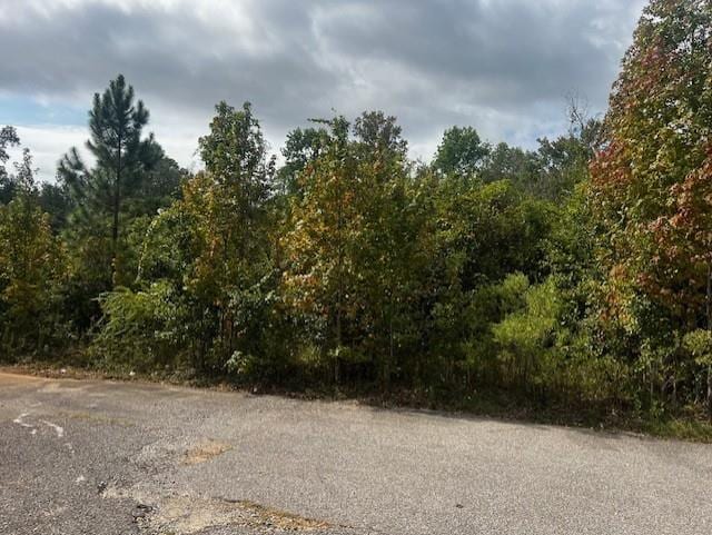 0 Anna Ct, Mobile AL, 36695 land for sale