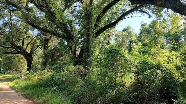 4026 Mcfarland Rd, Mobile, AL 36695