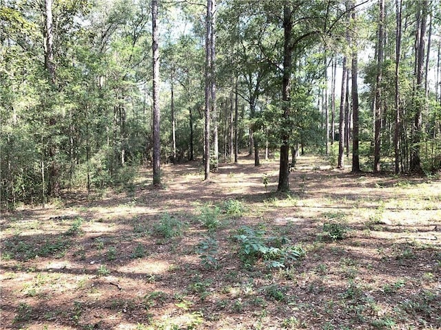 0 Leroy Stevens Rd, Mobile, AL 36619