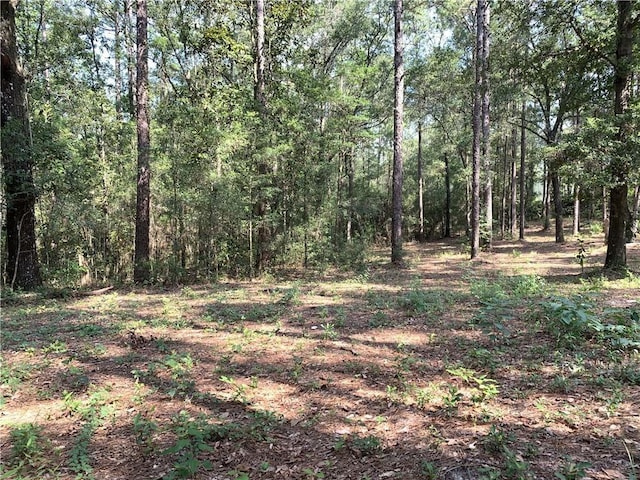 0 Leroy Stevens Rd, Mobile, AL 36619