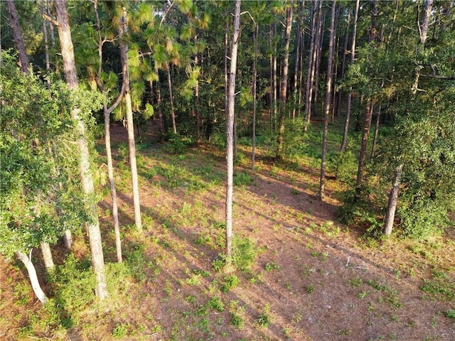 0 Leroy Stevens Rd, Mobile, AL 36619