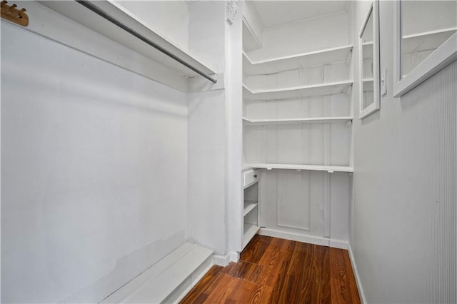 walk in closet with wood finished floors