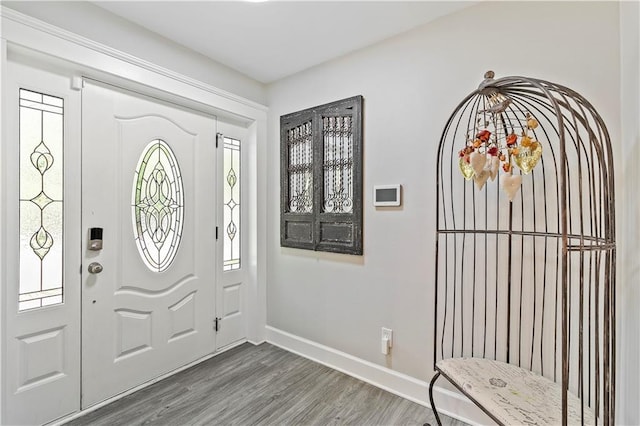 foyer entrance with dark hardwood / wood-style floors