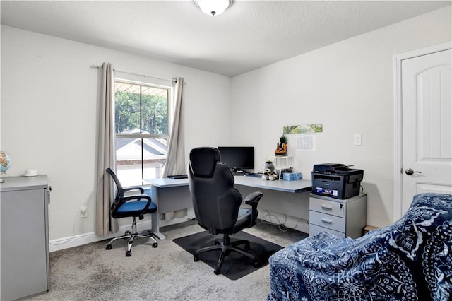 home office featuring light carpet