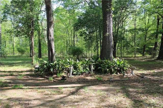 view of yard with a view of trees