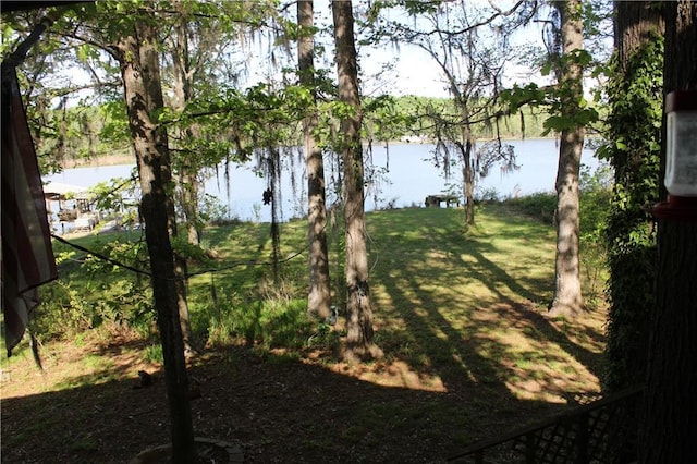 view of water feature