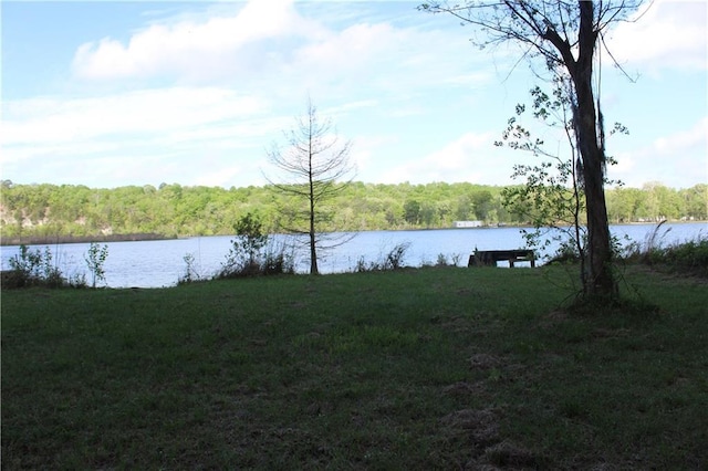 water view featuring a view of trees
