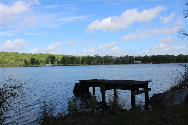 dock area featuring a view of trees and a water view