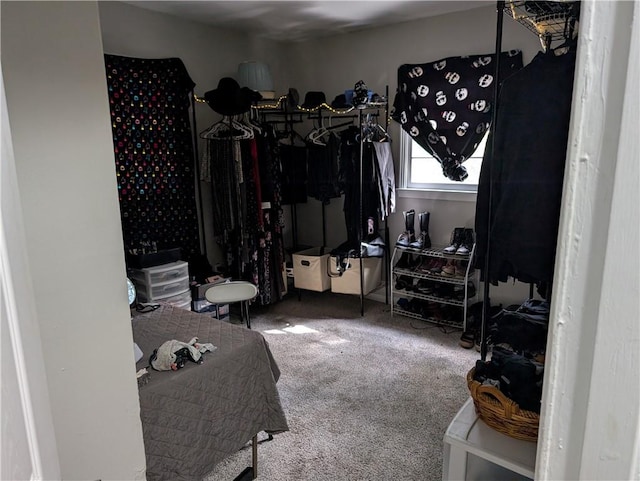 spacious closet featuring carpet floors