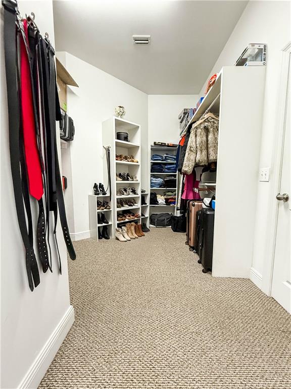 2801 Dog River Rd, Theodore, AL 36582 - walk in closet featuring carpet
