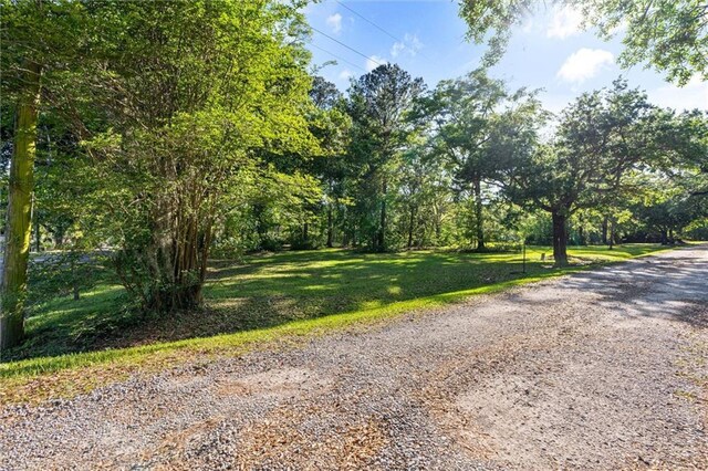 0 Wintzell Ave, Bayou La Batre, AL 36509