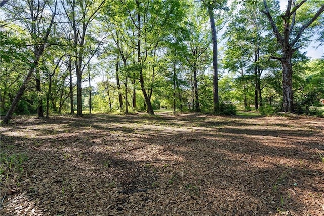 0 Wintzell Ave, Bayou La Batre, AL 36509