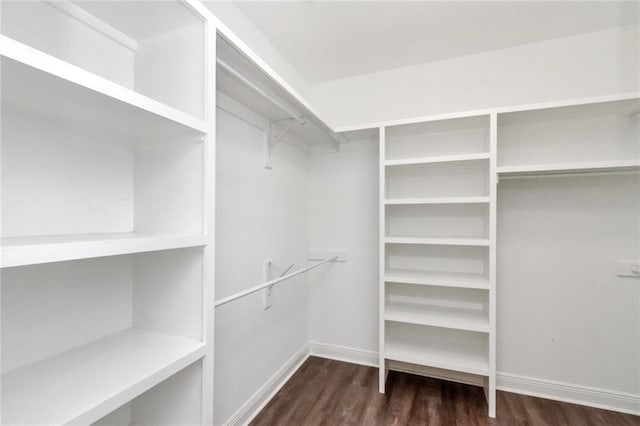 walk in closet featuring dark hardwood / wood-style flooring