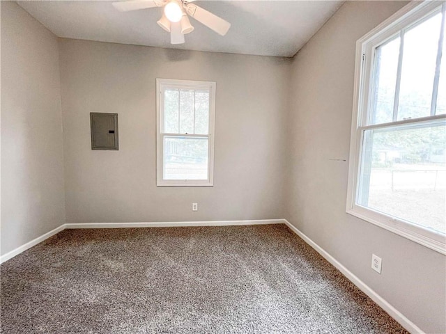 carpeted spare room with a ceiling fan, a wealth of natural light, electric panel, and baseboards