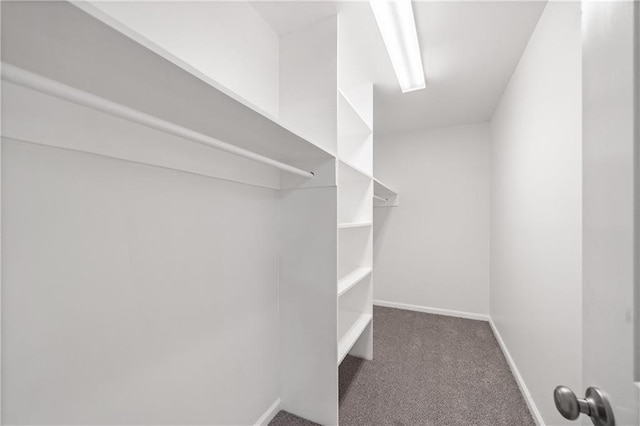 spacious closet featuring dark carpet