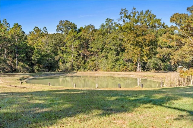 view of water feature