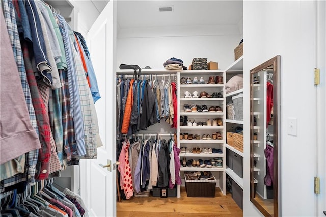 313 Cuban Lilly Dr, Fairhope, AL 36532 - spacious closet featuring wood finished floors