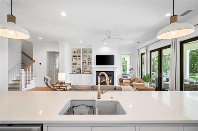 313 Cuban Lilly Dr, Fairhope, AL 36532 - kitchen featuring open floor plan, a sink, a ceiling fan, dishwashing machine, and a lit fireplace