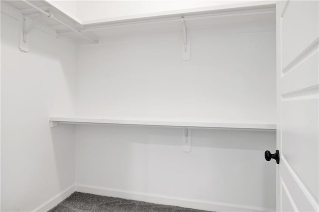 spacious closet with carpet flooring