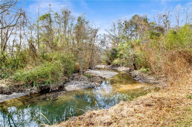 229 Lillian Ave, Saraland, AL 36571 - view of water feature