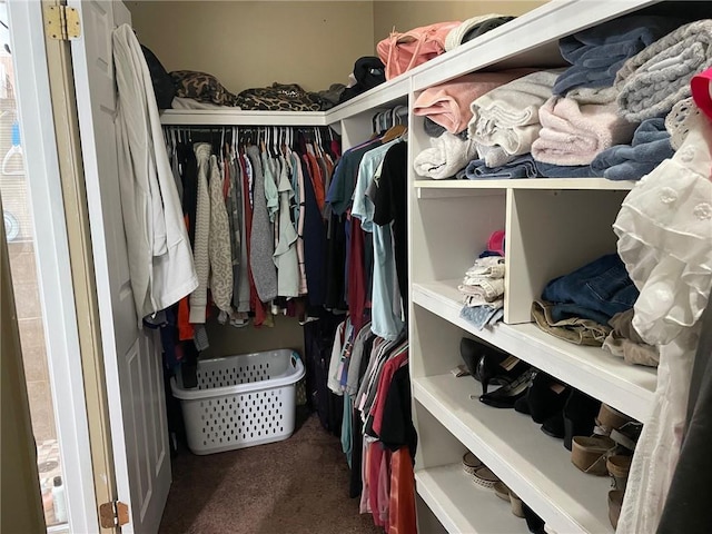 walk in closet featuring carpet