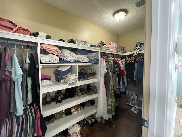 view of walk in closet