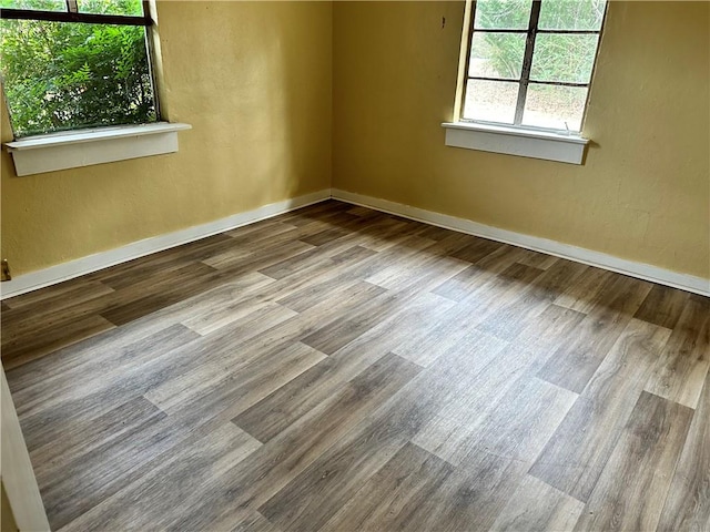 empty room featuring wood-type flooring