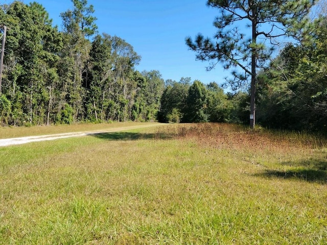 10475 Padgett Switch Rd, Irvington AL, 36544 land for sale