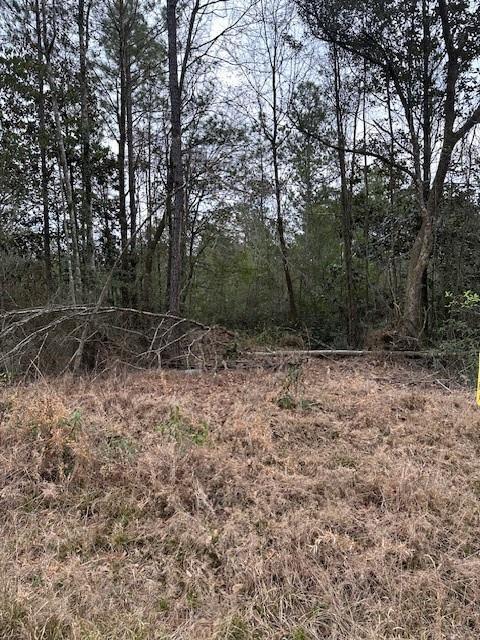 0 Salco Rd, Axis AL, 36525 land for sale