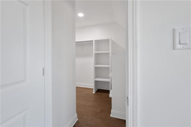 walk in closet with dark hardwood / wood-style floors