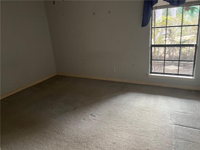 spare room with carpet