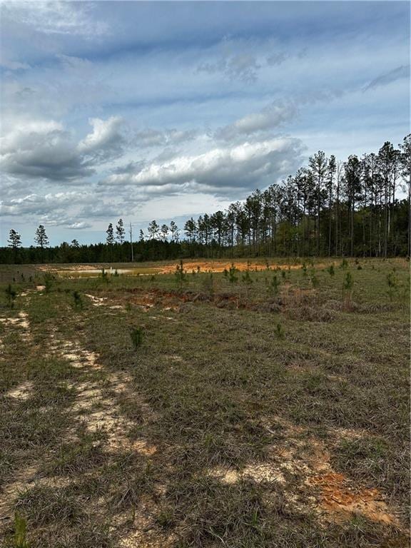 15226 Celeste Rd, Chunchula AL, 36521 land for sale