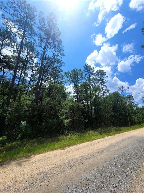 0 Dolphin Dr, Theodore AL, 36582 land for sale