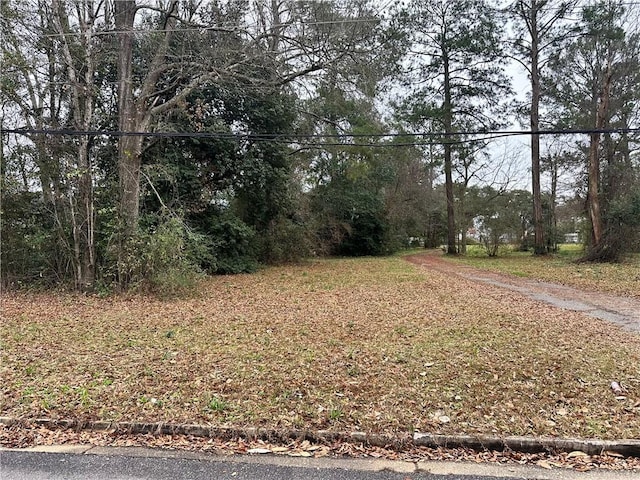 0 Howard Ave, Citronelle AL, 36522 land for sale