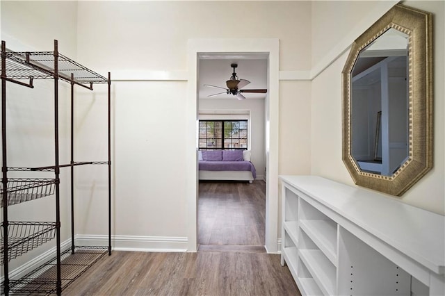 walk in closet featuring hardwood / wood-style flooring and ceiling fan