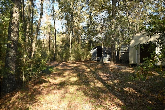 view of yard featuring a storage shed