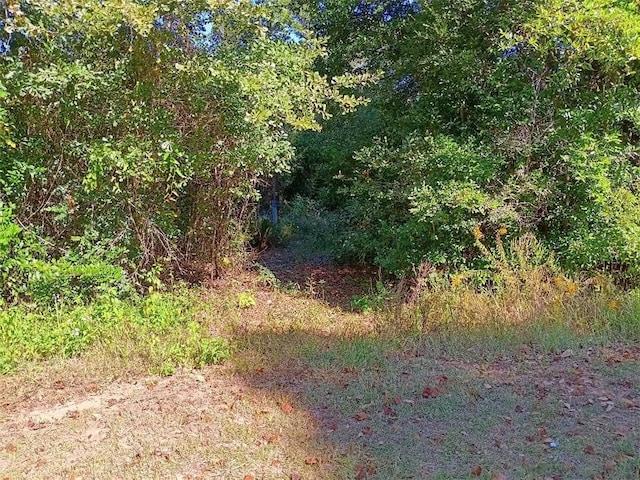 Listing photo 3 for 0 Warren Creek Rd, Grand Bay AL 36541