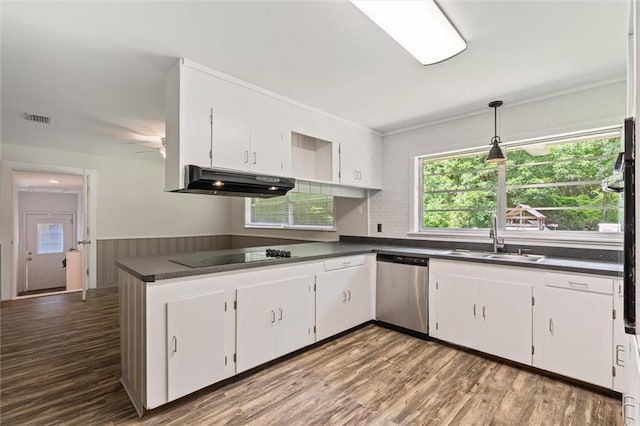 kitchen featuring stainless steel dishwasher, sink, and white cabinets