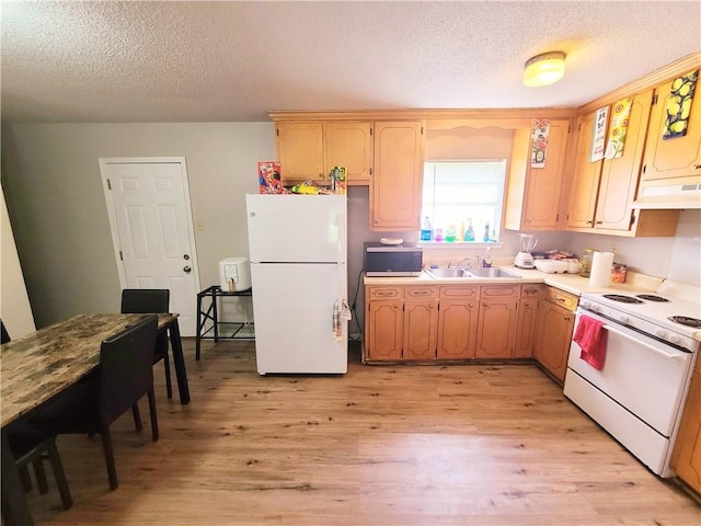 kitchen with a textured ceiling, under cabinet range hood, white appliances, a sink, and light wood-style floors