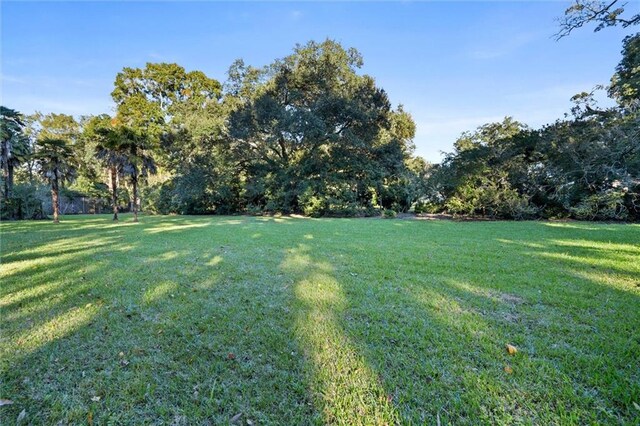 26 Julia St S, Mobile, AL 36604 - view of green lawn