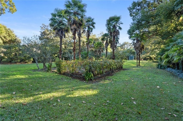 26 Julia St S, Mobile, AL 36604 - view of grassy yard
