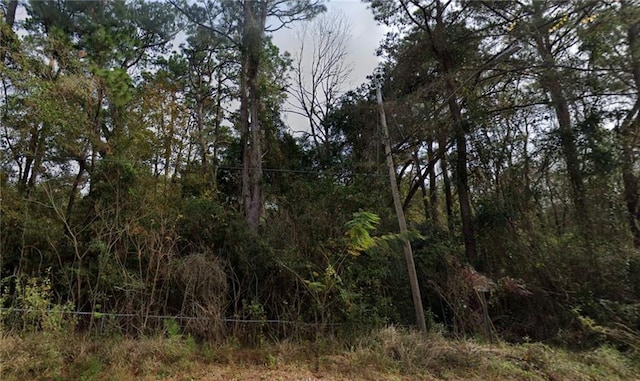 0 Higgins Rd, Satsuma AL, 36572 land for sale