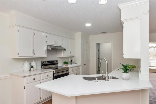 kitchen with a peninsula, a sink, electric stove, under cabinet range hood, and crown molding