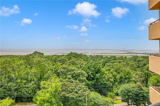 100 Tower Dr Unit 704, Daphne, AL 36526 - water view featuring a forest