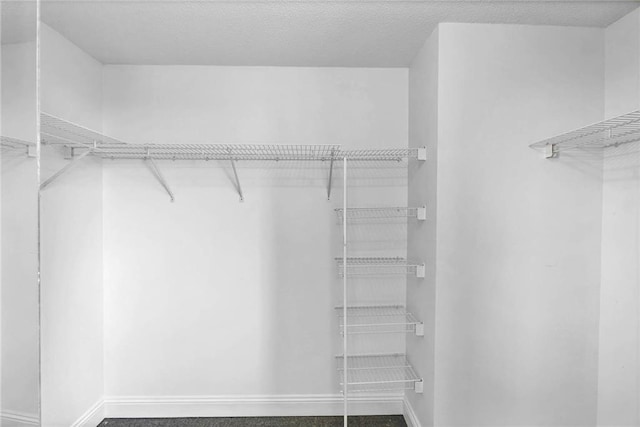 100 Tower Dr Unit 704, Daphne, AL 36526 - view of walk in closet
