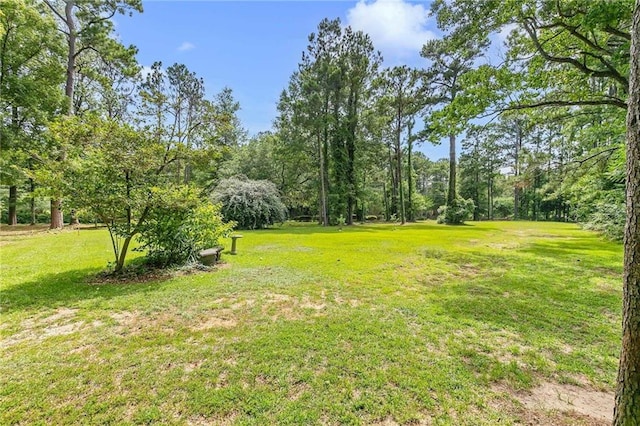 100 Tower Dr Unit 704, Daphne, AL 36526 - view of green lawn