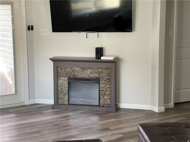 details featuring a stone fireplace and wood-type flooring