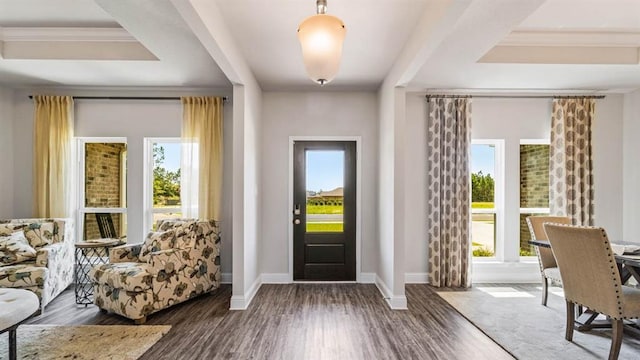 entrance foyer featuring a tray ceiling and dark hardwood / wood-style floors