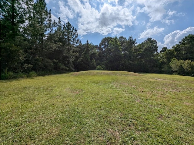6960 March Pointe Ct, Theodore, AL 36582 - view of grassy yard featuring a view of trees