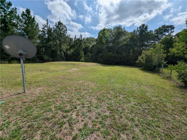 6960 March Pointe Ct, Theodore, AL 36582 - view of green lawn